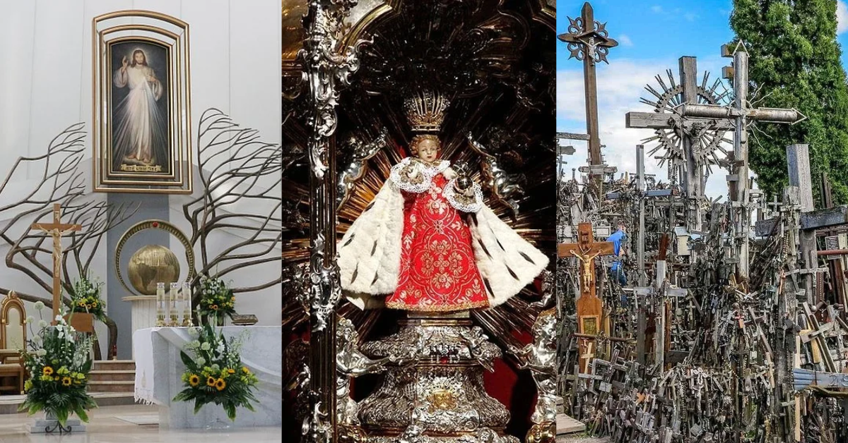Pilgrimage Collage St. Rose of Lima 2.png